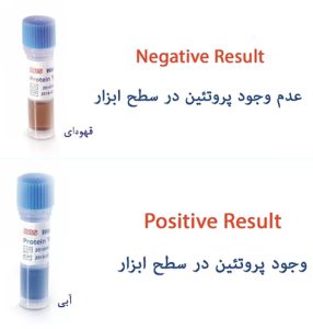 نتیجه پروتئین تست