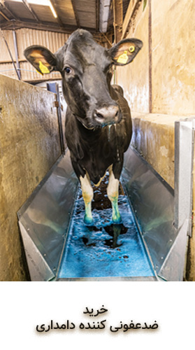 ضدعفونی کننده دامی