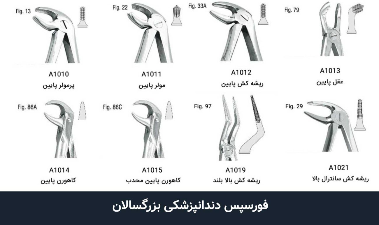 فورسپس دندانپزشکی بزرگسالان