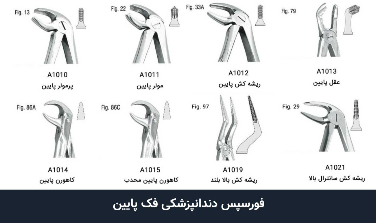 فورسپس دندانپزشکی در فک پایین