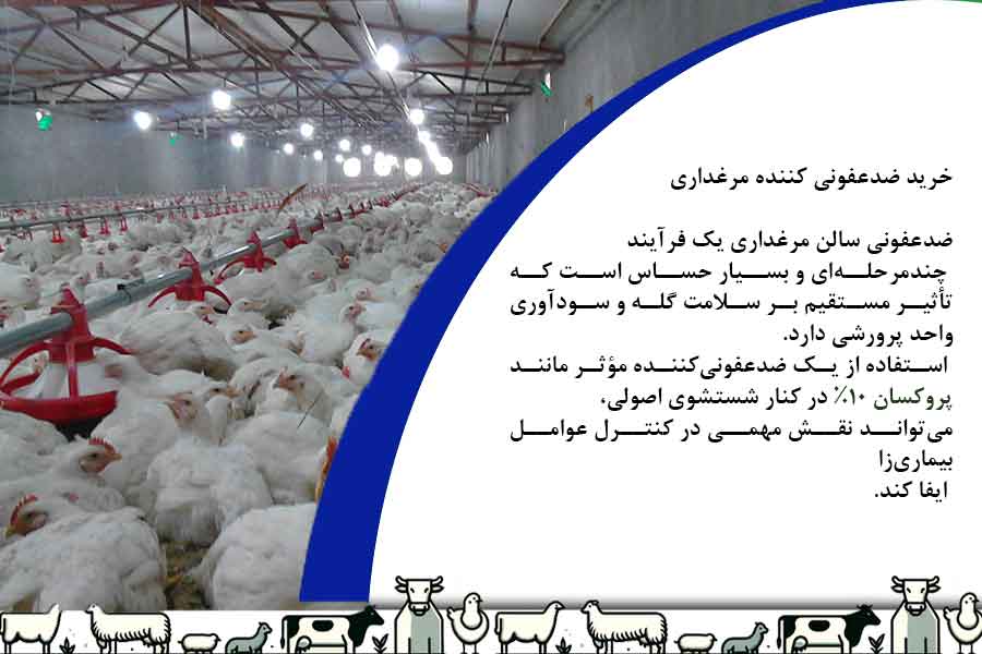 خرید ضدعفونی کننده مرغداری