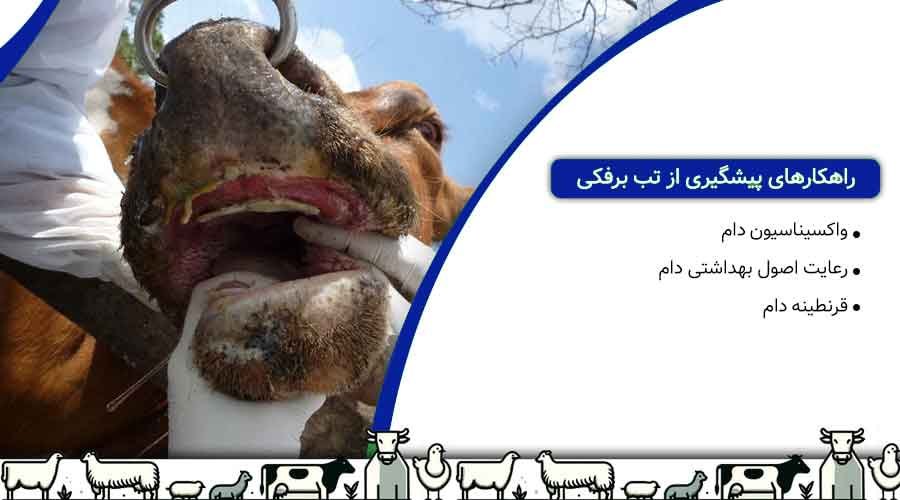 نقش ضدعفونی‌کننده‌ها در کنترل تب برفکی