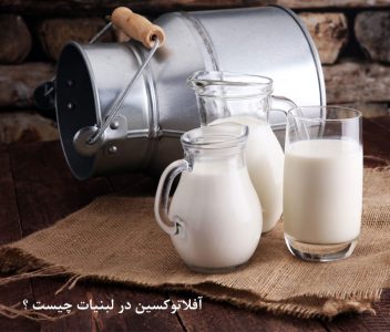 سم آفلاتوکسین در لبنیات چیست