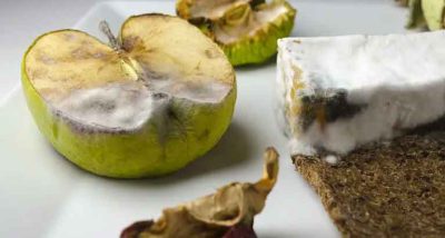 جلوگیری از کپک و مخمر در صنایع غذایی