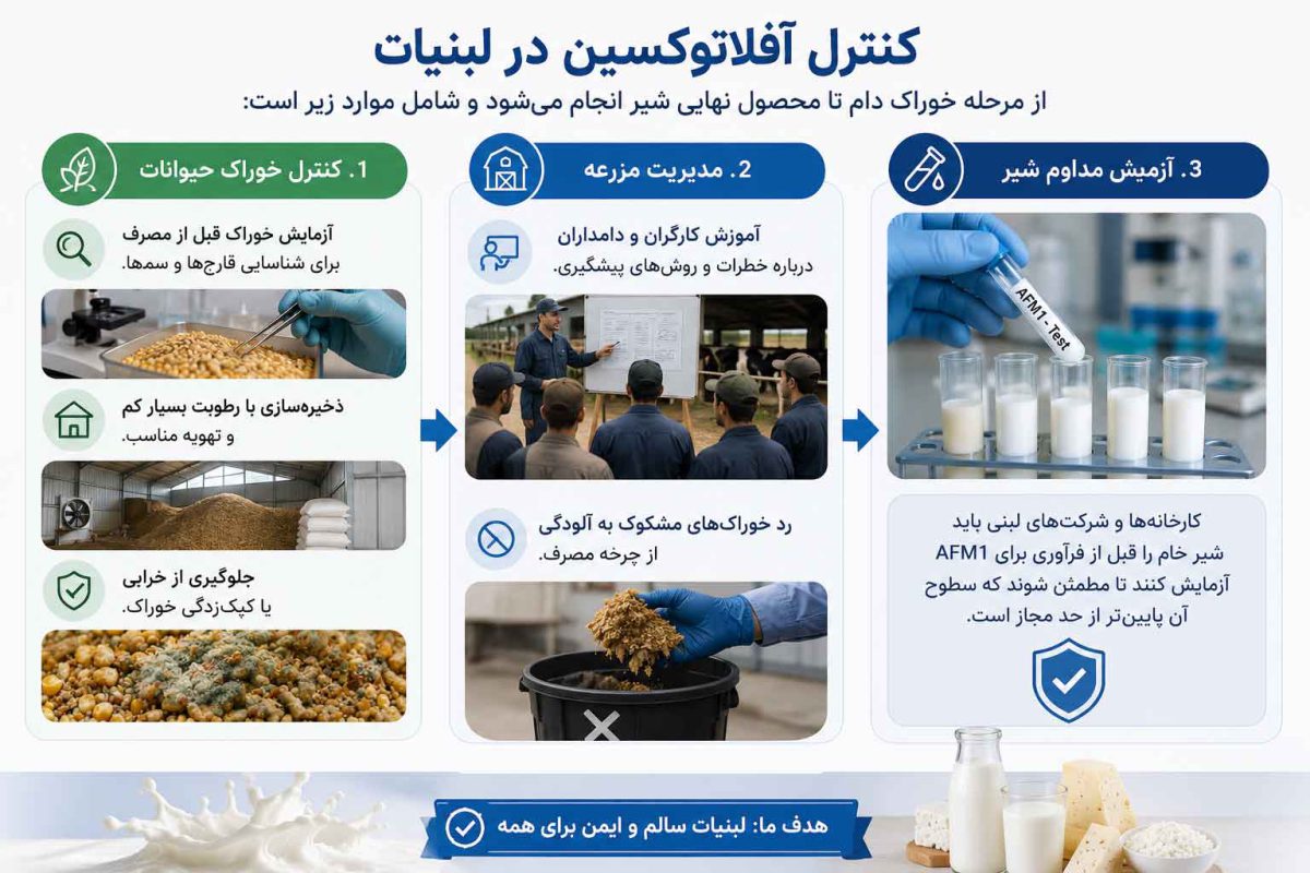 آفلاتوکسین در لبنیات چیست ؟ 3 کنترل آفلاتوکسین در لبنیات