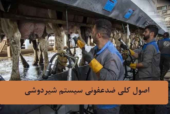 مراحل ضدعفونی سیستم شیردوشی در گاوداری 2 اصول کلی ضدعفونی سیستم شیردوشی